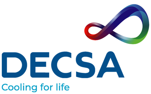 DECSA - logo